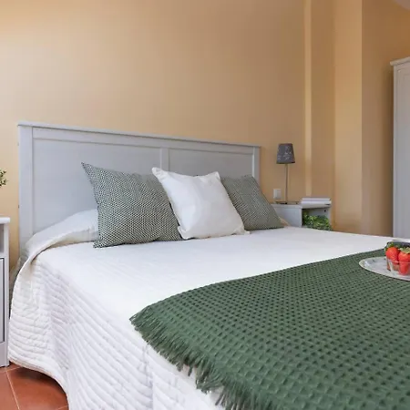 Apartamento Fgdr343f El Rayo *